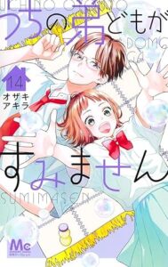 うちの弟どもがすみません 第14巻 表紙