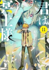 君は冥土様-第11巻-表紙