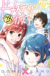 ドメスティックな彼女-第28巻-表紙