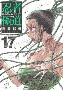 忍者と極道 第17巻 表紙