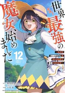 世界最強の魔女、始めました ~私だけ『攻略サイト』を見れる世界で自由に生きます~-第12巻－表紙